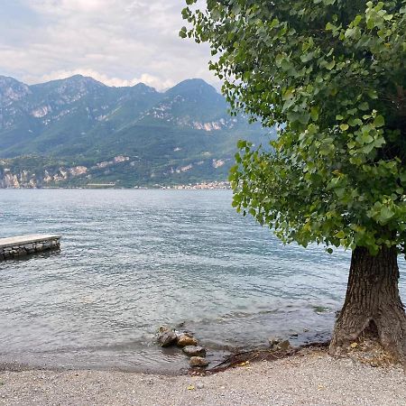 Al Cottage Oliveto Lario Exteriér fotografie